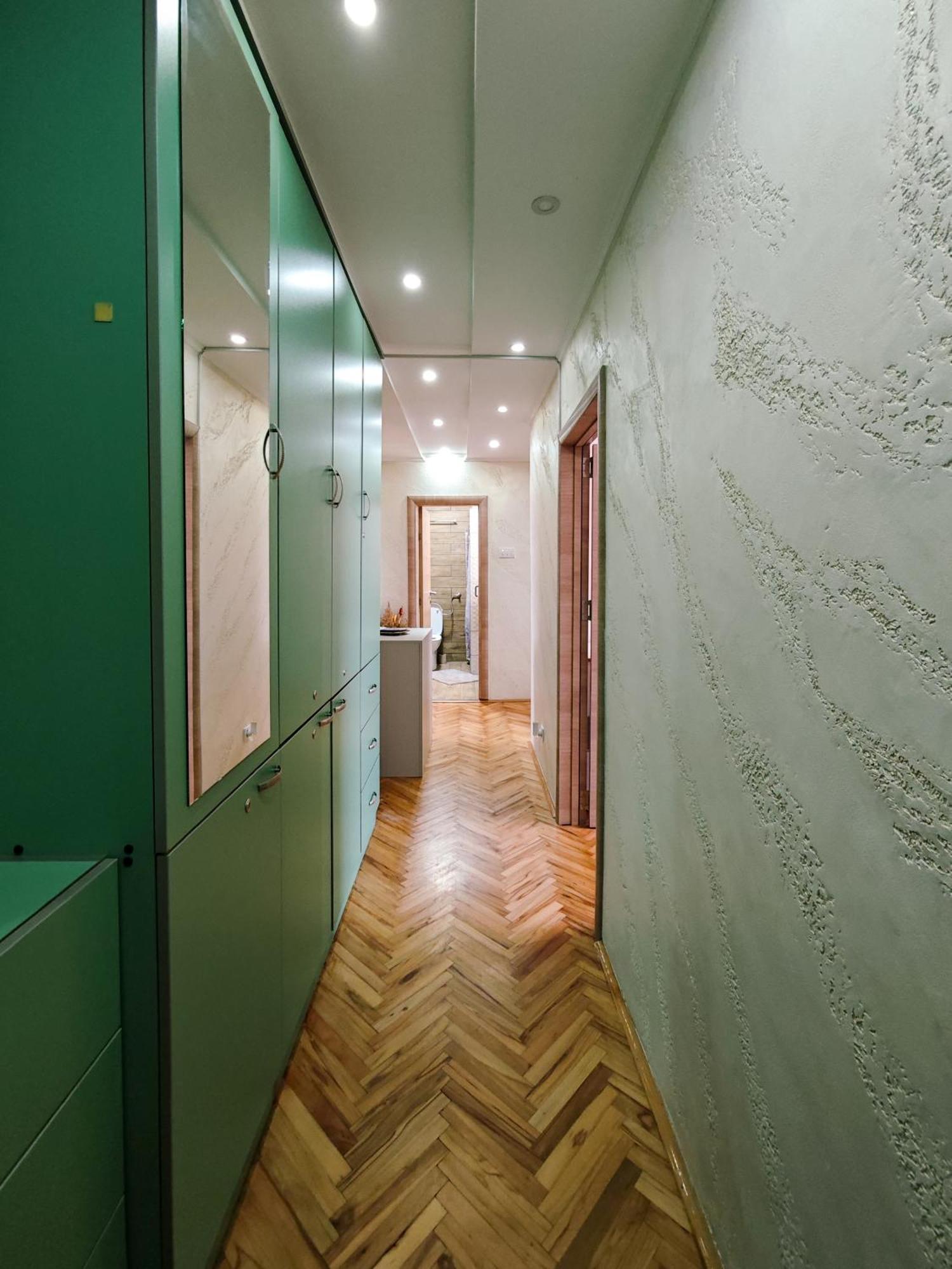 Apartman Julija ドニー・ミラノヴァツ エクステリア 写真